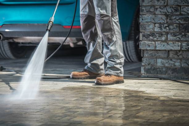 Best Driveway Pressure Washing  in Fisher, IL