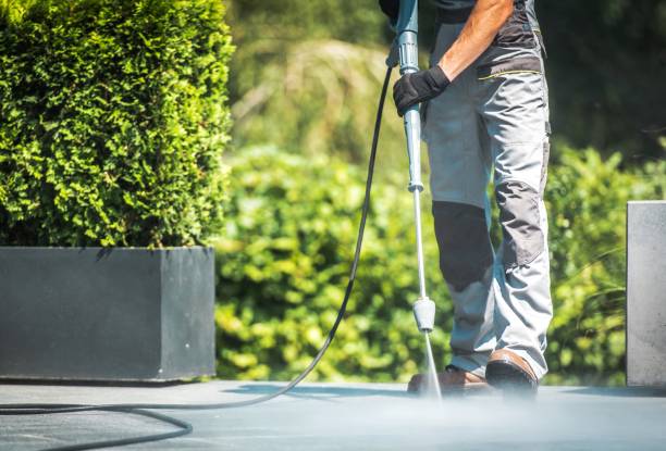 Best Dumpster Area Cleaning  in Fisher, IL