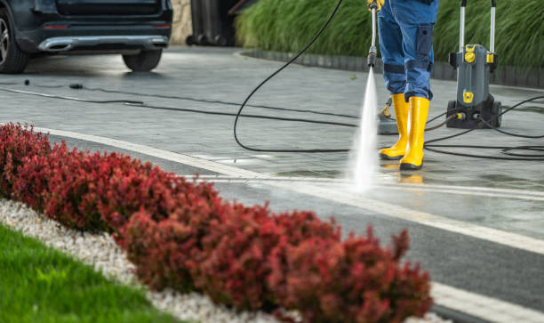 Best Solar Panel Cleaning  in Fisher, IL